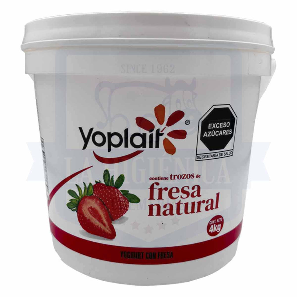 Yoghurt Yoplait 4 L.